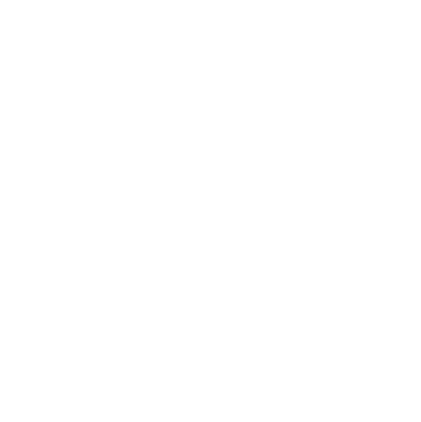 Solo Official